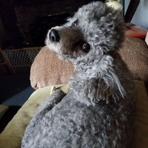 Meet your Posher, Joyce